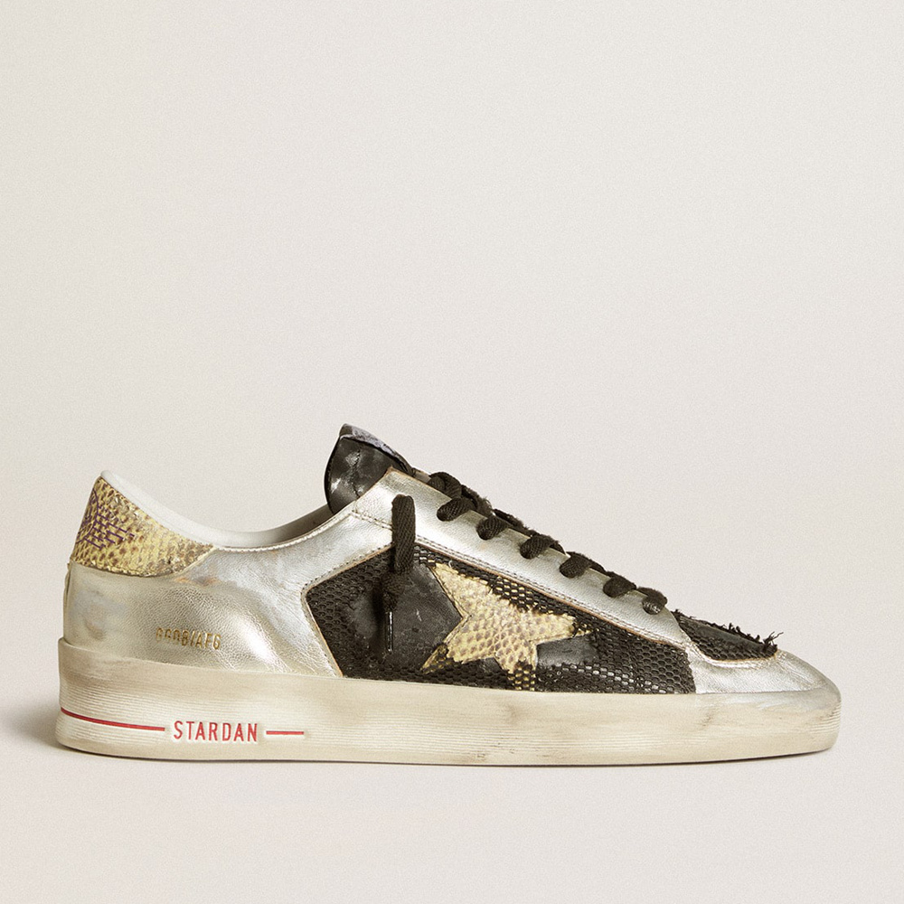 Golden Goose Stardan LAB In Silver Leather And Mesh With Golden Star And Heel Tab